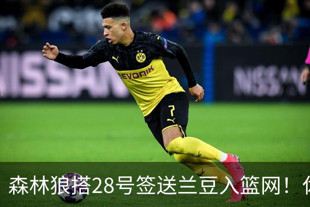 森林狼搭28号签送兰豆入篮网！休媒：利好火箭，27年可换网队首轮