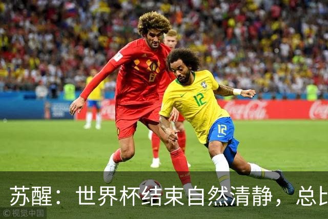 苏醒：世界杯结束自然清静，总比各种营销踢到一半就淘汰的清净好